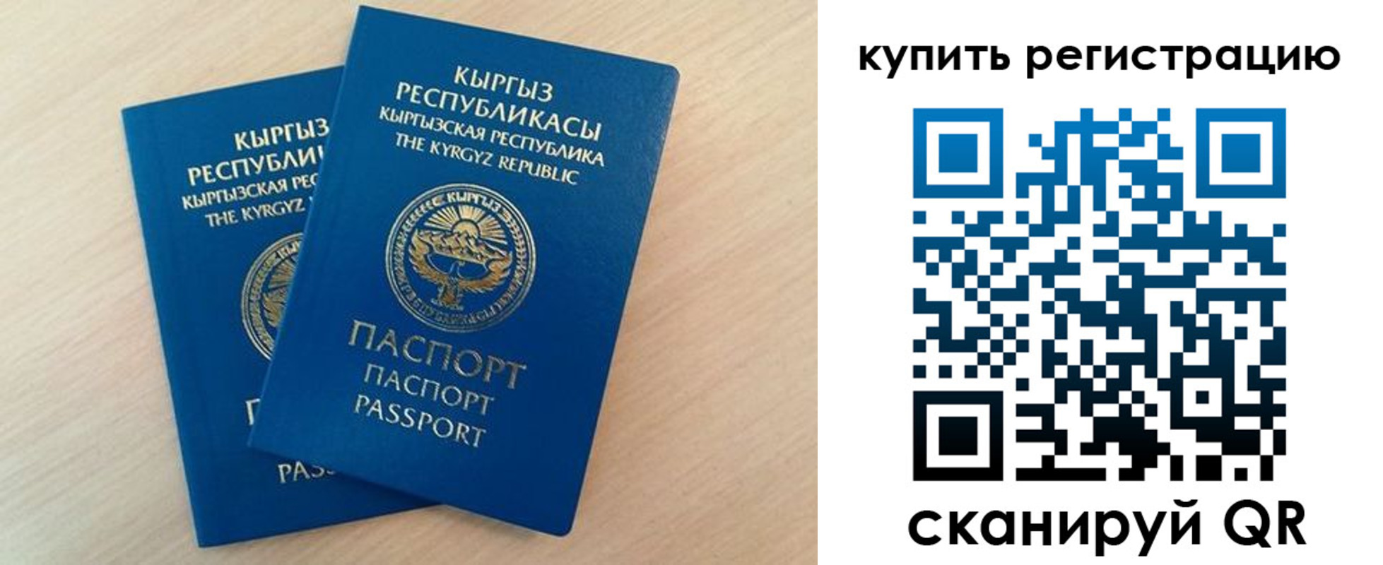 временная регистрация поиск в Выборге